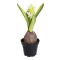 Hyacint Vit Konstgjord Blomma
